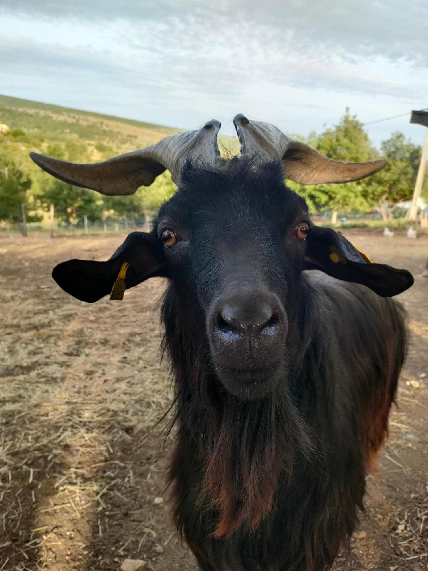 Gite A La Ferme Ongles エクステリア 写真