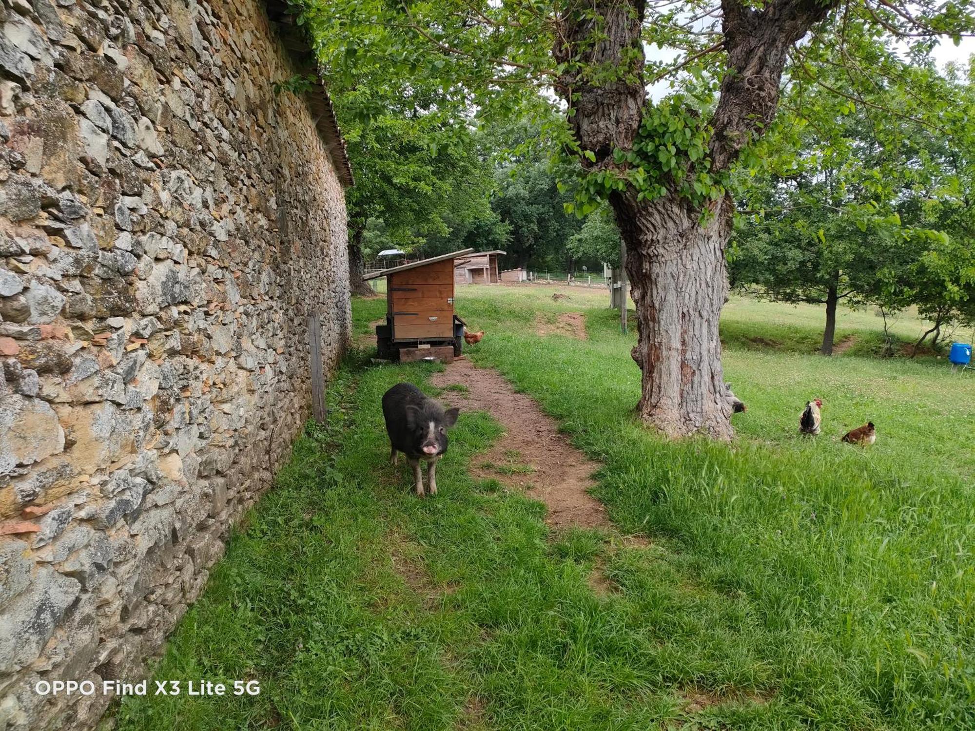 Gite A La Ferme Ongles エクステリア 写真