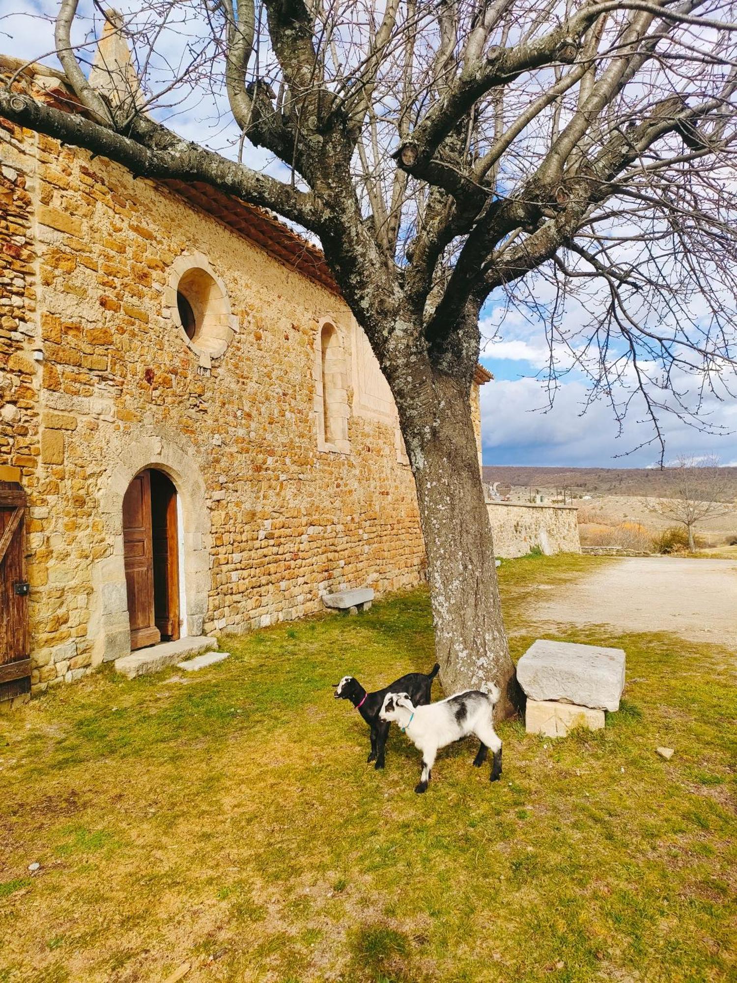 Gite A La Ferme Ongles エクステリア 写真