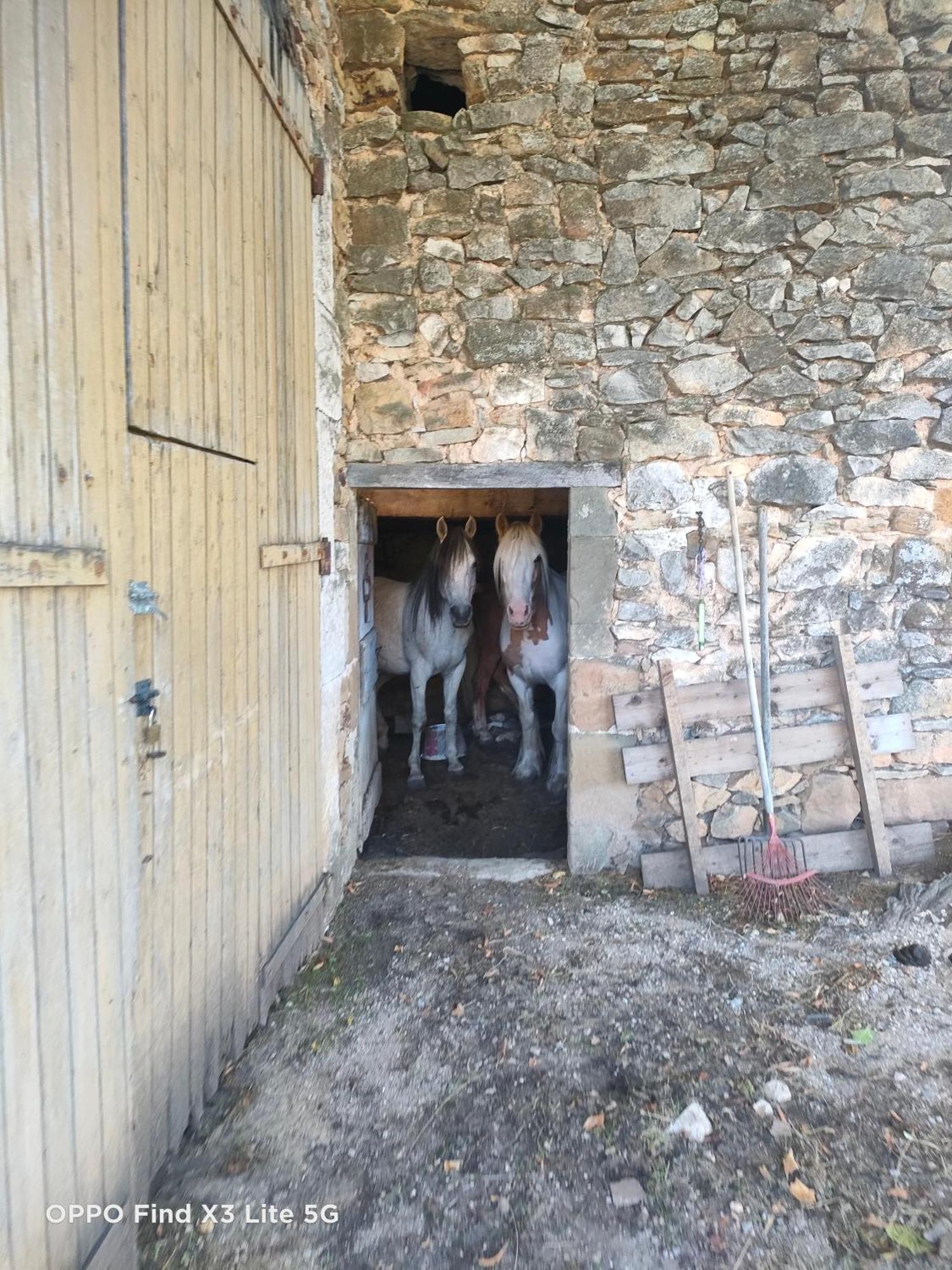 Gite A La Ferme Ongles エクステリア 写真